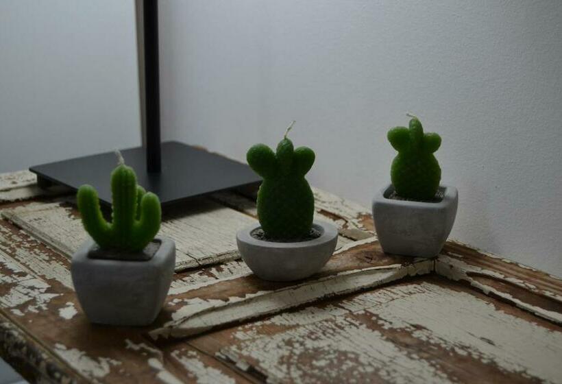 Номер Стандарт, B&b Paolo E Mariella