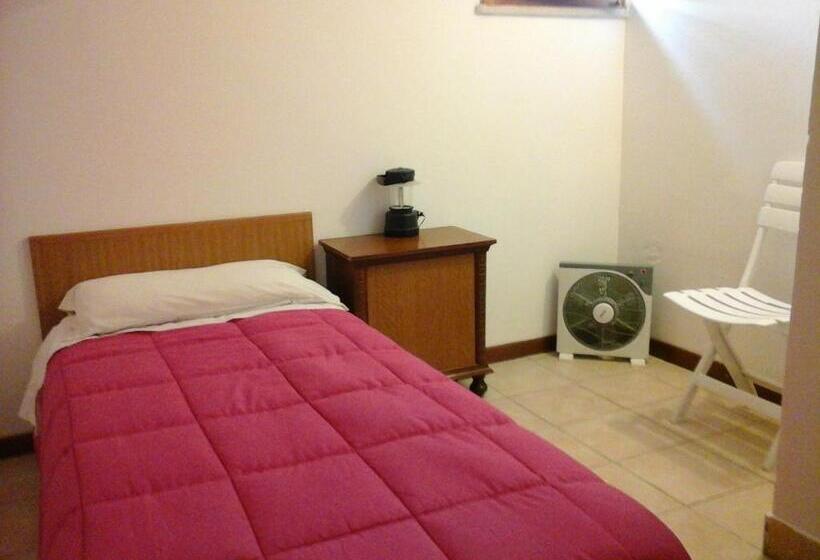 标准单人间, B&b Tio Pepe