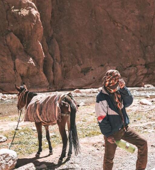 Номер Стандарт, Maison D Hôte Valentine