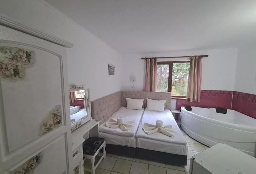Номер Стандарт с Гидромассажем, Vila Kalvachevi