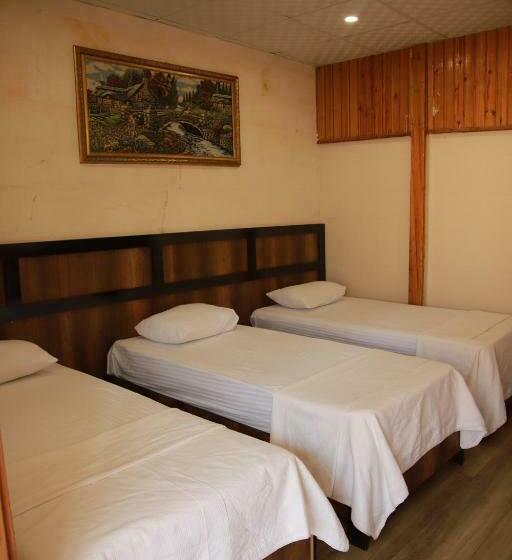 اتاق استاندارد سه نفره, Aslan Guest House