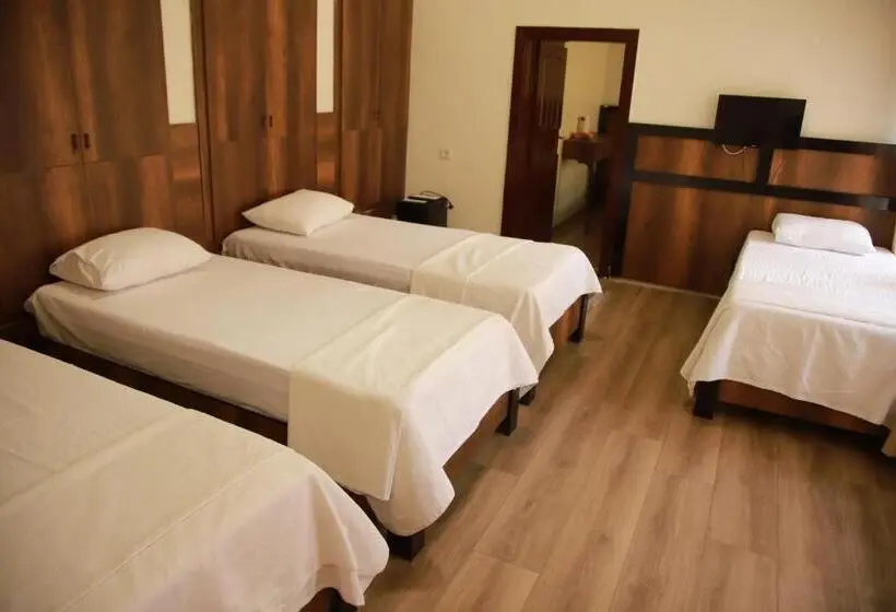 اتاق خانوادگی, Aslan Guest House