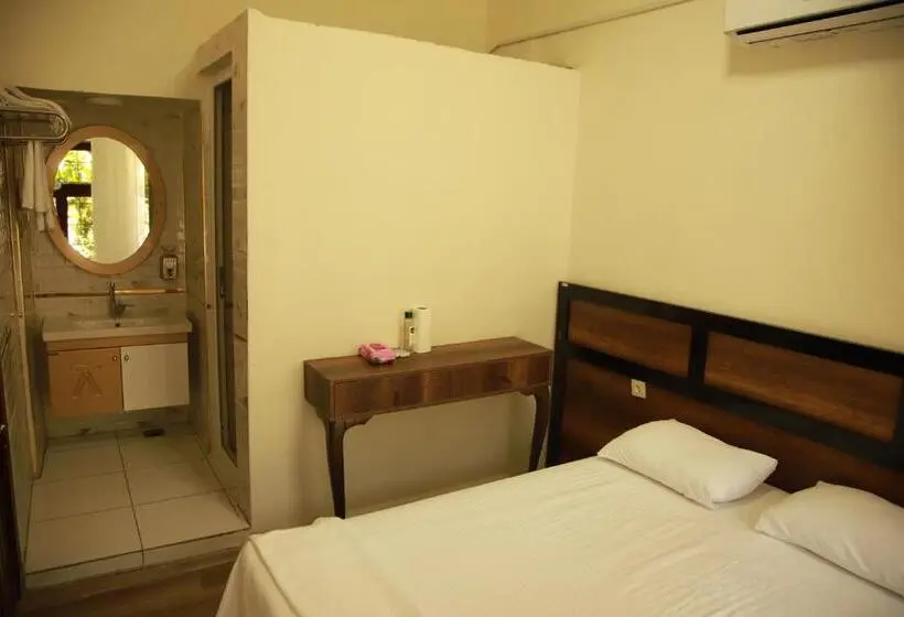اتاق خانوادگی, Aslan Guest House