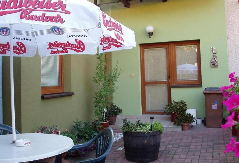 חדר סטנדרט, Penzion Orion Hovorany