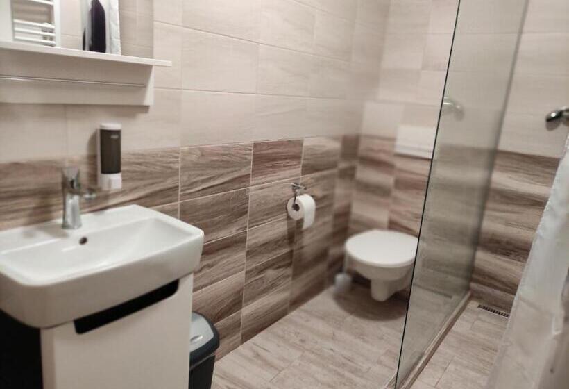 스탠다드 룸, Penzion U Vinice