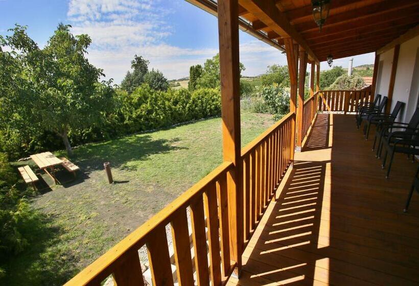 침실 1개 테라스 아파트, Penzion U Vinice