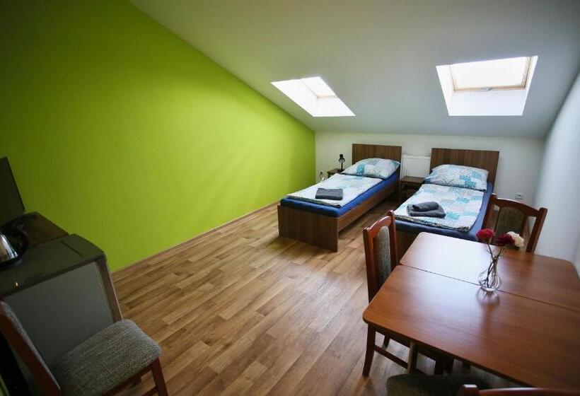 침실 1개 테라스 아파트, Penzion U Vinice