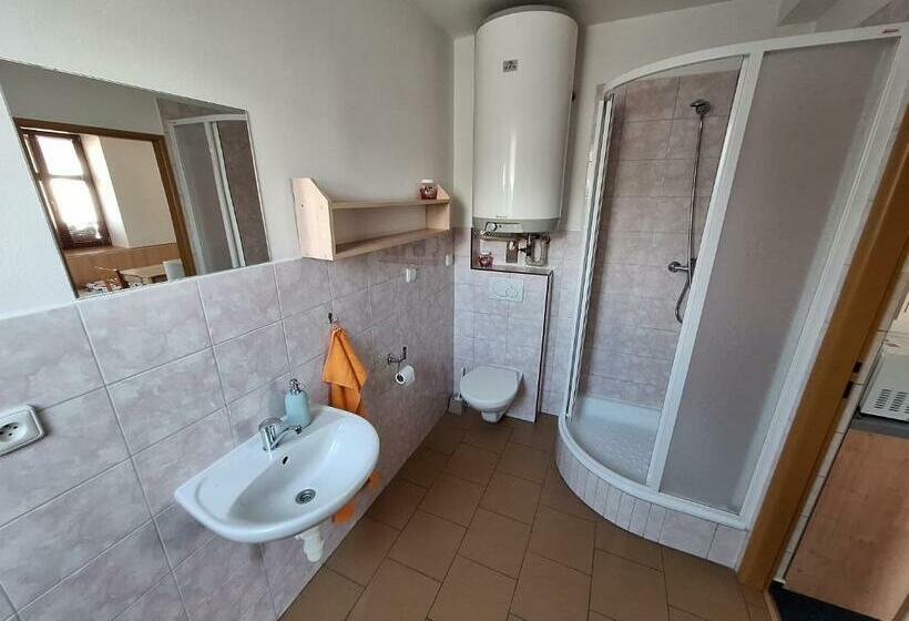 חדר סטודיו סטנדרד, Penzion U Vorlíčků