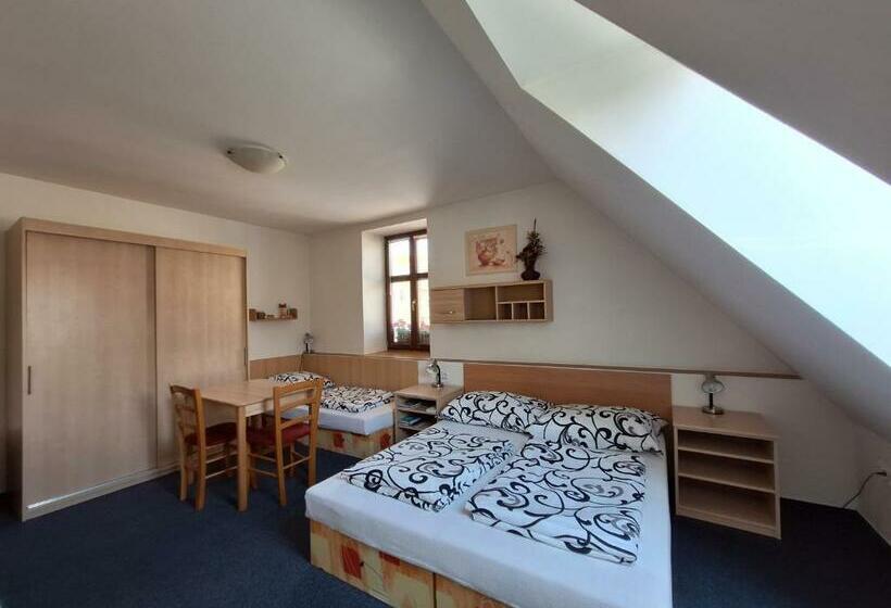 חדר סטודיו סטנדרד, Penzion U Vorlíčků