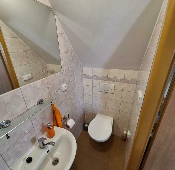 חדר סטודיו סטנדרד, Penzion U Vorlíčků