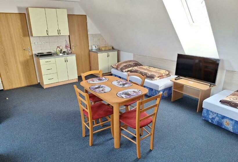 חדר סטודיו סטנדרד, Penzion U Vorlíčků