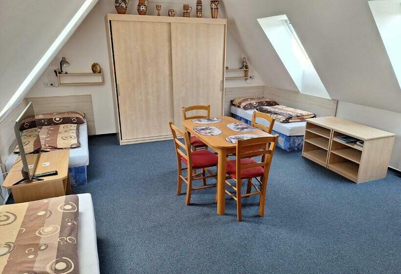 חדר סטודיו סטנדרד, Penzion U Vorlíčků