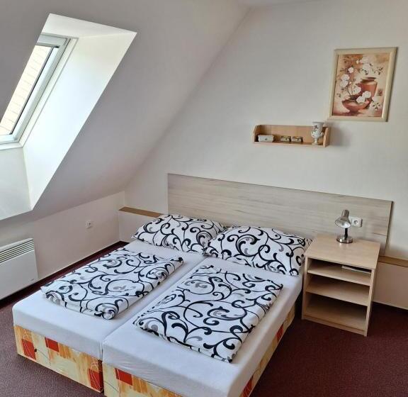 חדר סטודיו סטנדרד, Penzion U Vorlíčků