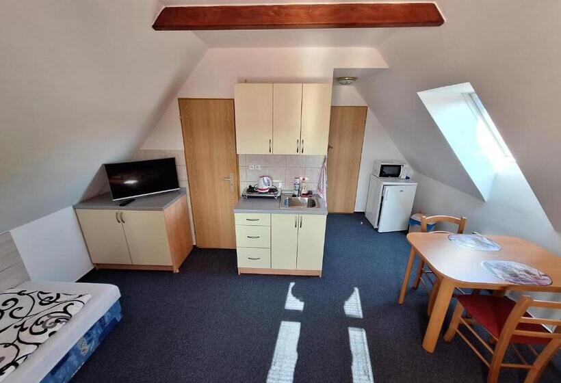 חדר סטודיו סטנדרד, Penzion U Vorlíčků