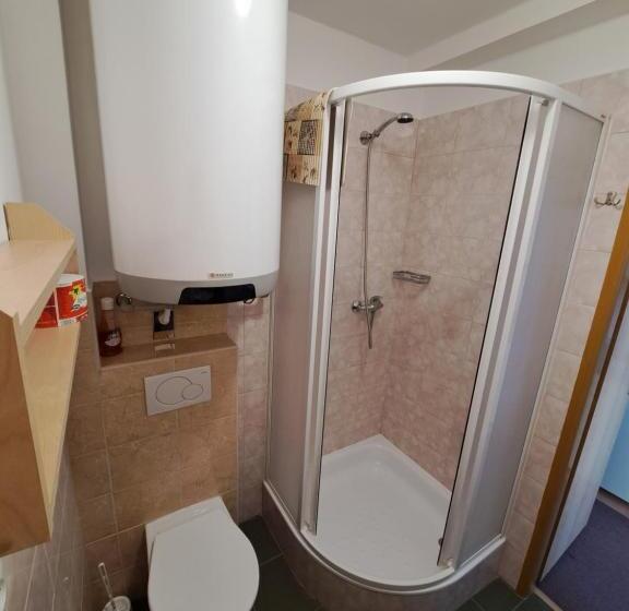 חדר סטודיו סטנדרד, Penzion U Vorlíčků