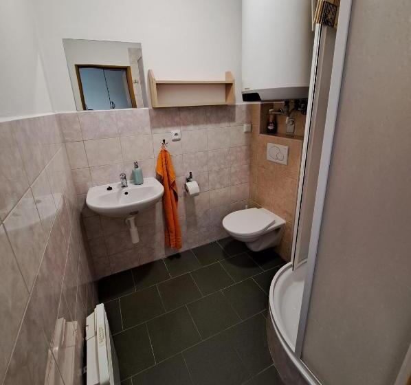 חדר סטודיו סטנדרד, Penzion U Vorlíčků