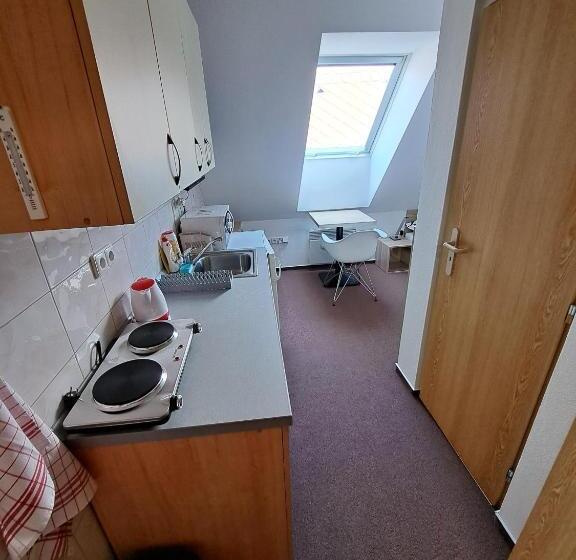 חדר סטודיו סטנדרד, Penzion U Vorlíčků