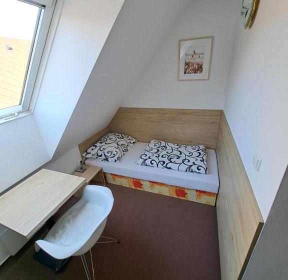 חדר סטודיו סטנדרד, Penzion U Vorlíčků