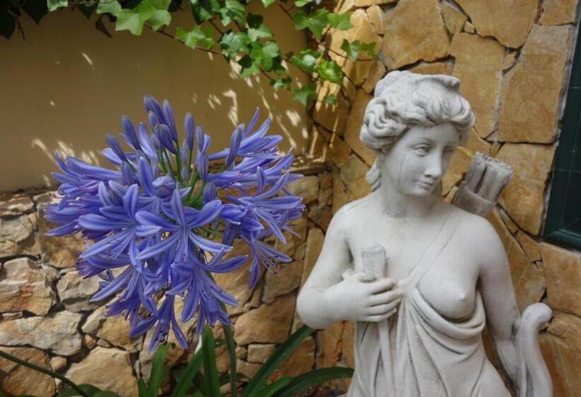 اتاق استاندارد, Vila Atlântida