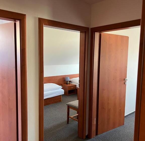 غرفة عائلية, Vila Tatra