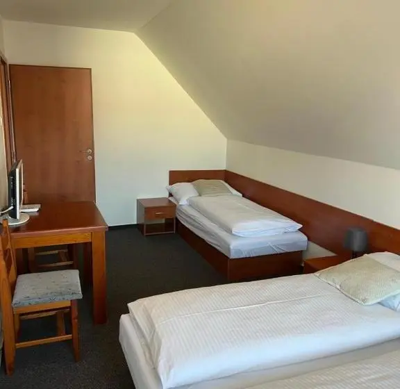 ファミリールーム, Vila Tatra