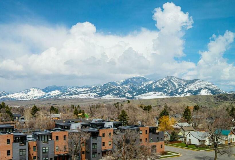 اتاق استاندارد با تخت بزرگ, Ac Hotel By Marriott Bozeman Downtown