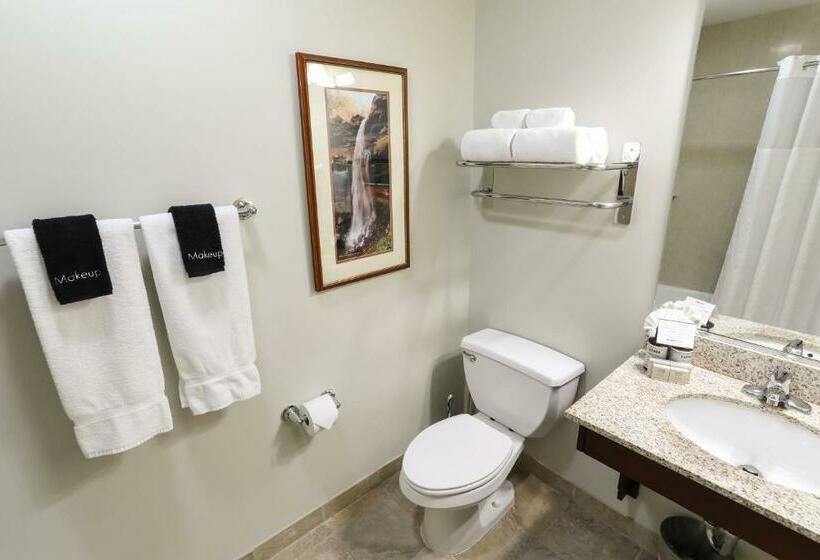 חדר סטודיו סטנדרד, Kaatskill Mountain Club And Condos By Hunter Mountain