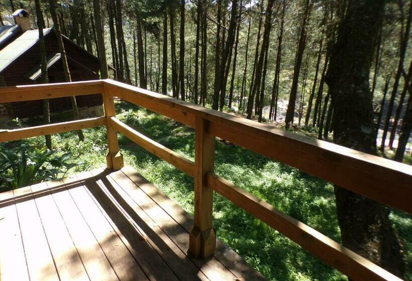 Семейный Номер, Cabañas El Rincón De Pancho
