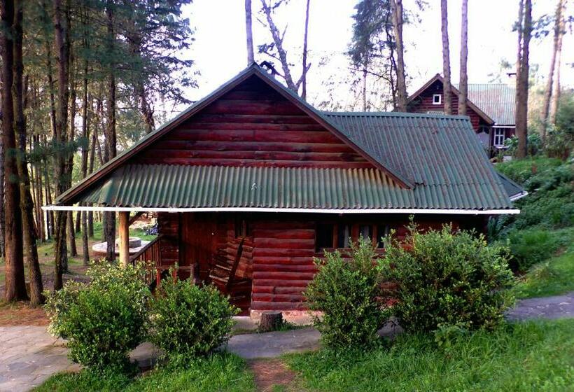 家庭间, Cabañas El Rincón De Pancho