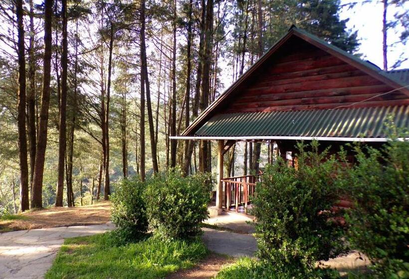 家庭间, Cabañas El Rincón De Pancho