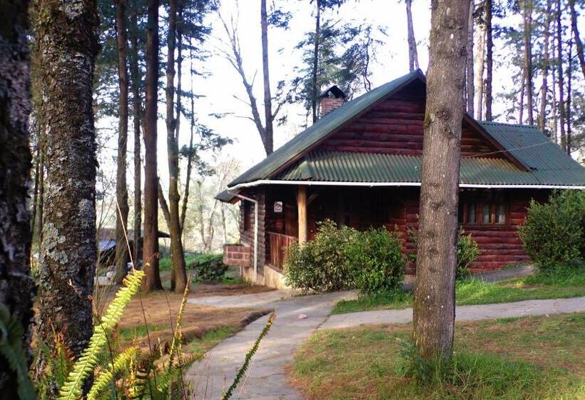 家庭间, Cabañas El Rincón De Pancho