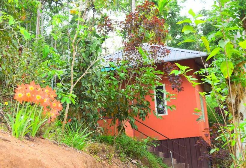 Quarto Familiar Vista Montanha, Pepper County Farm Stay