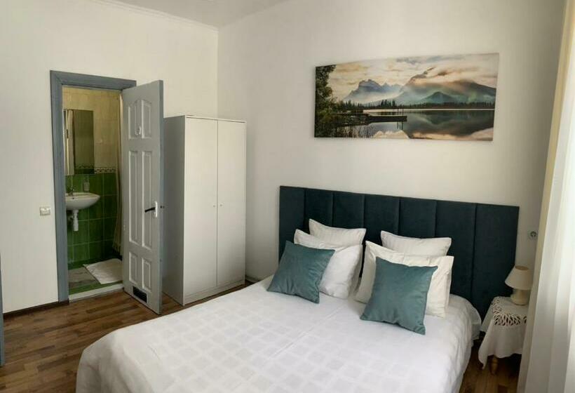 اتاق استاندارد, зоряні карпати