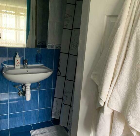 اتاق استاندارد, зоряні карпати