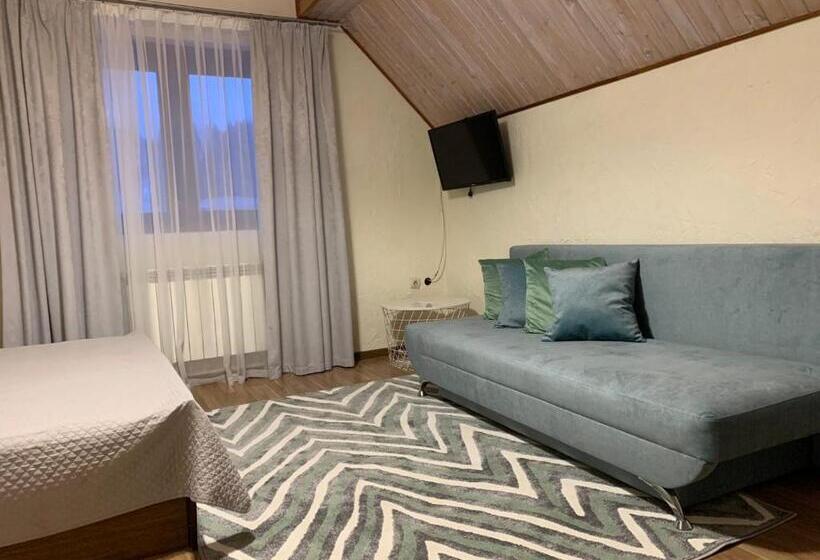 اتاق استاندارد چهارنفره با سرویس بهداشتی مشترک, зоряні карпати