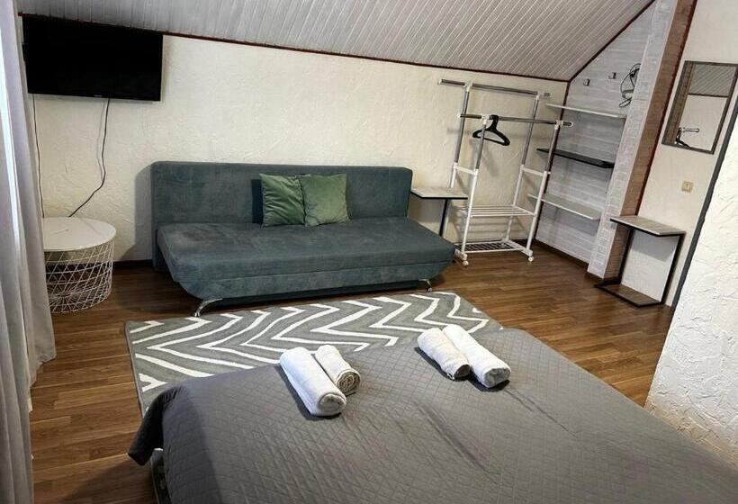 اتاق استاندارد چهارنفره با سرویس بهداشتی مشترک, зоряні карпати