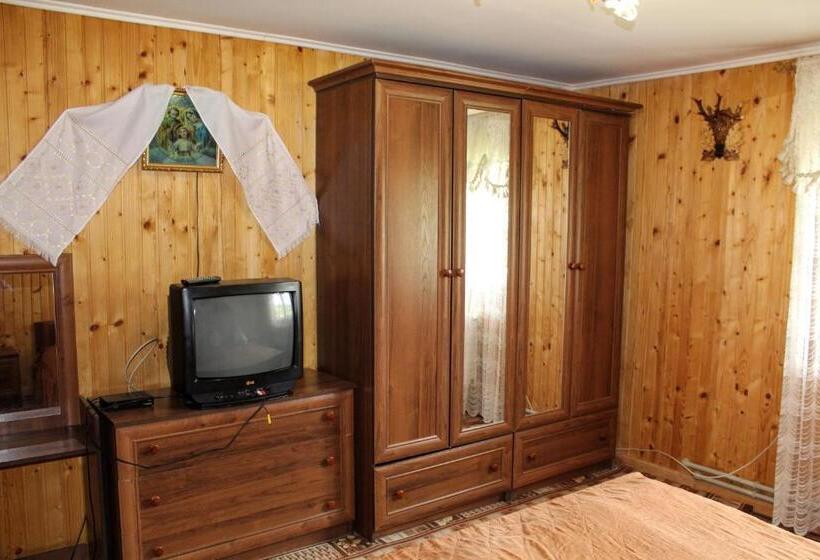 اتاق استاندارد, у василини