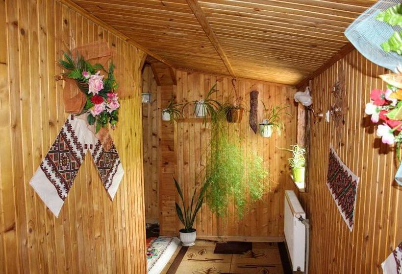 اتاق استاندارد, у василини