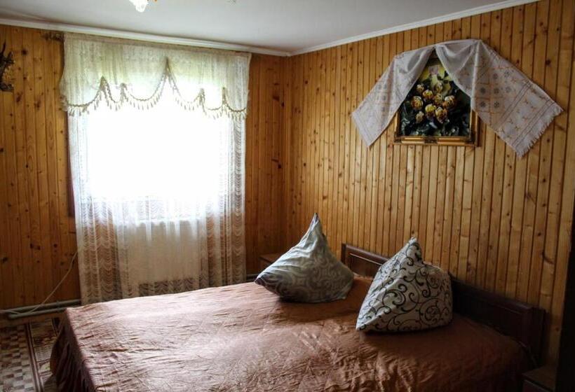 اتاق استاندارد, у василини