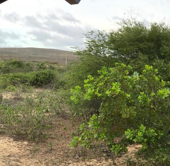 חדר סטנדרט לארבעה, Pousada Maria Sara