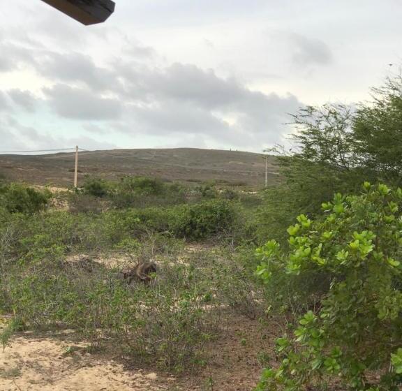 חדר סטנדרט לארבעה, Pousada Maria Sara