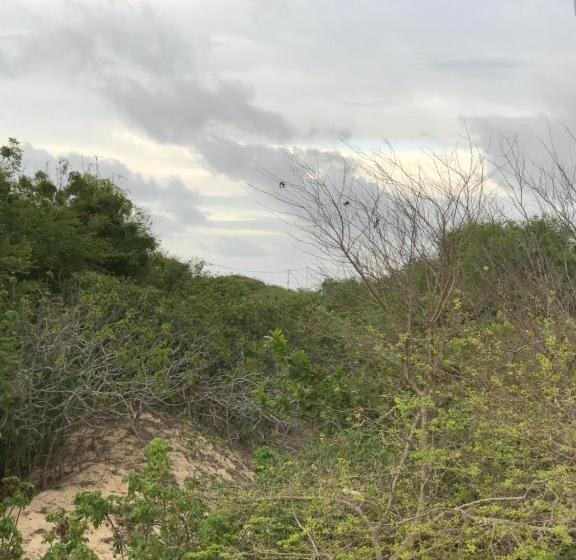 חדר סטנדרט לארבעה, Pousada Maria Sara