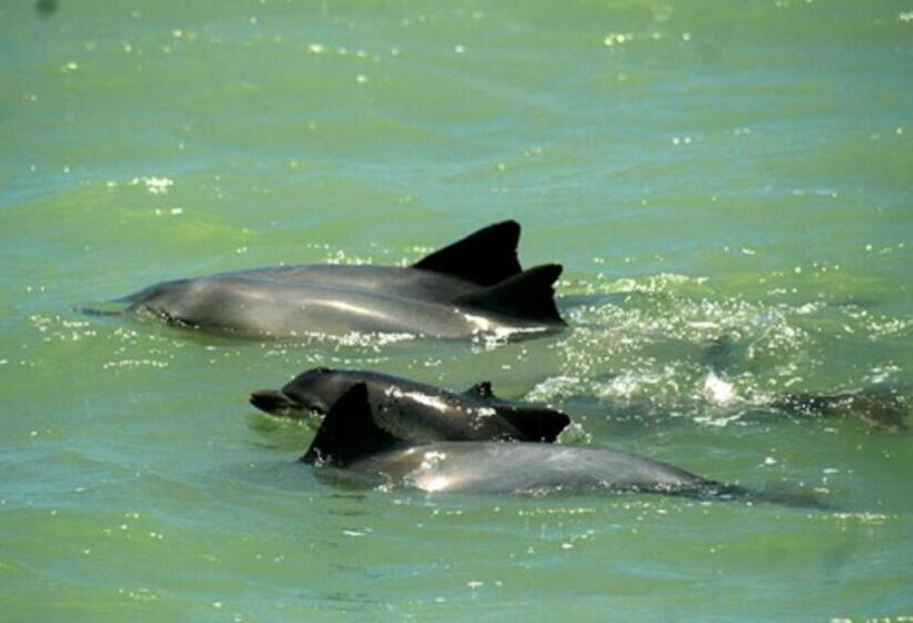 バルコニー付き1ベッドルームアパートメント, Sonia Flats Pipa S Bay Flat 211