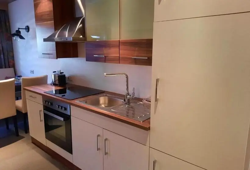 آپارتمان 1 خوابه, Gasthof Erzherzog Rainer Zimmer Und Ferienwohnung