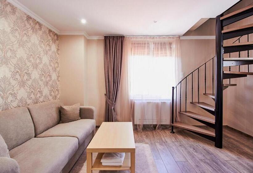 סוויטת ג'וניור, хотел паризи