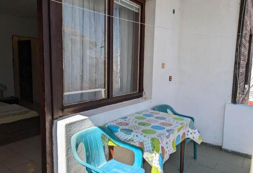 트리플 클래식 룸, цвета