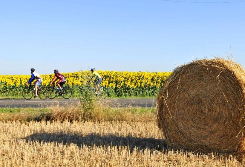一居室别墅, Azureva Vendée Océan