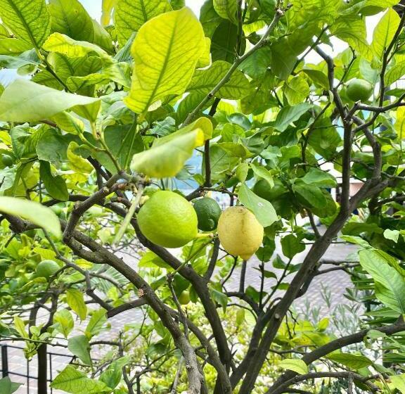 レイクビュースタンダードルーム, Albergo Bellavista