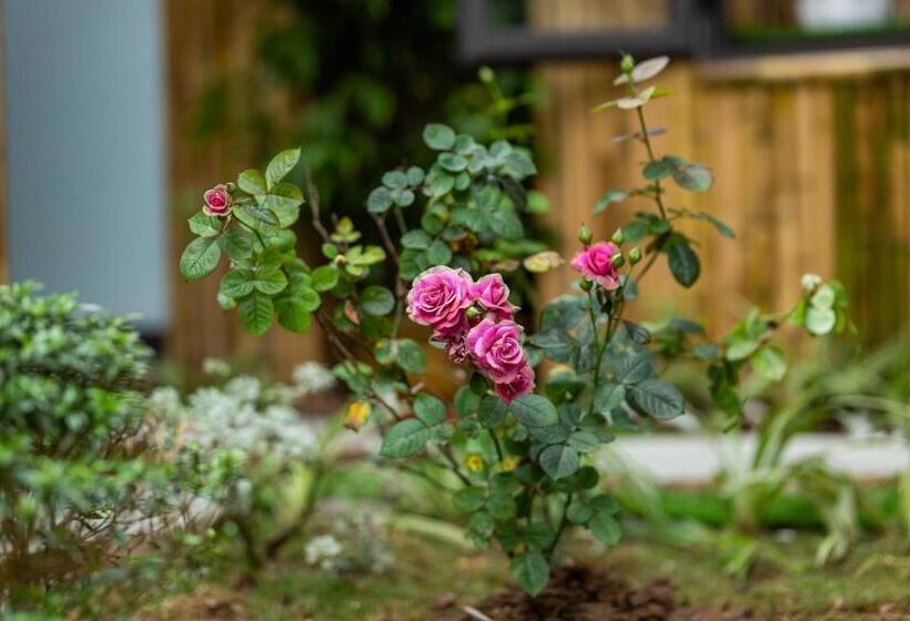 اتاق لوکس, Trang An Moon Garden Homestay