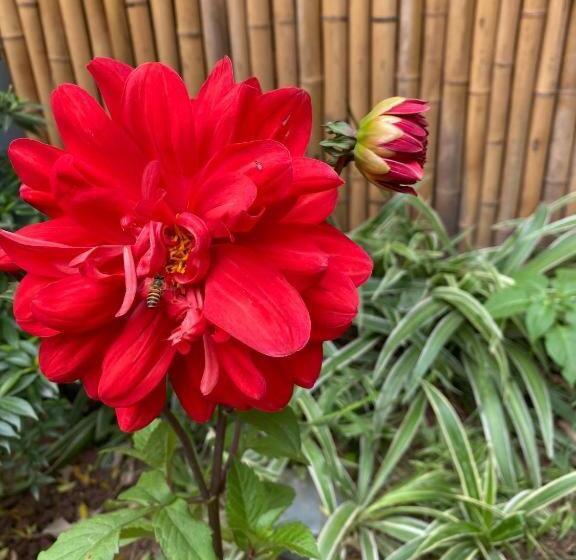 اتاق لوکس, Trang An Moon Garden Homestay